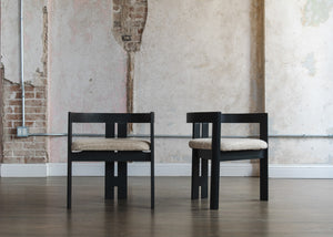 Pair of Chairs by Tobia Scarpa